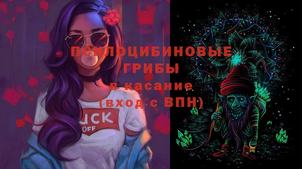 apvp Алексин